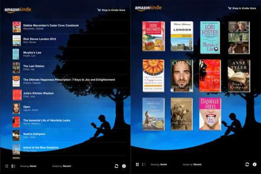 Come leggere gli eBook sul PC, senza eReader